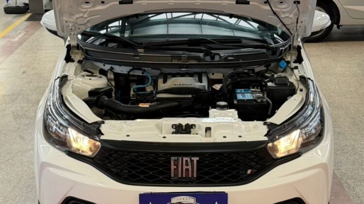 FIAT ARGO 1.0 FIREFLY FLEX MANUAL